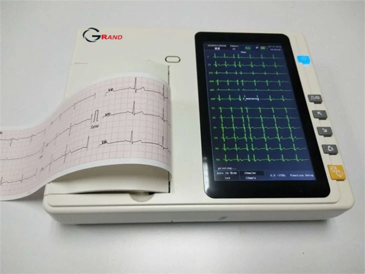 ecg-3e-2_副本